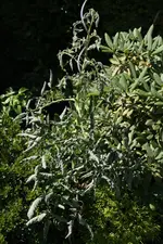 IMG_6293.webp
