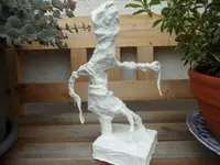 SAM_5086.webp