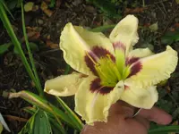 schönes kind4_1024x768.webp