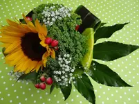 135.webp