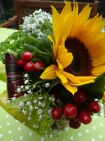 137.webp
