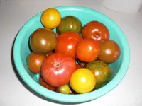Schüssel 2.webp