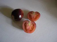 P 6.webp