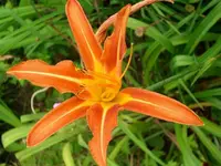 k-DSCI2925.webp