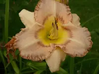 k-DSCI2928.webp
