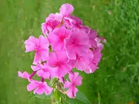 k-DSCI2927.webp