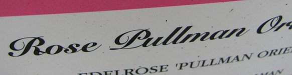 pullman.webp