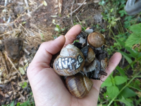 P1170350.webp