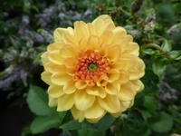 P1170338.webp P1170338.webp