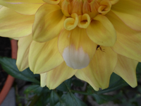 P1170363.webp P1170363.webp