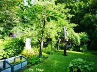 P1000660.webp