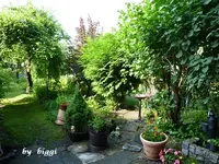 P1000664.webp