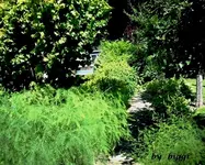 DSCN1396.webp