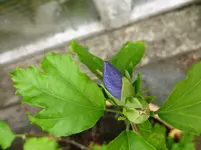 P1150360.webp
