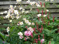DSCN9212.webp