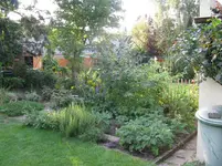Garten 005.webp