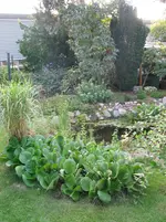 Garten 006.webp