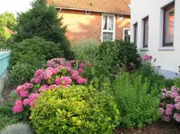Garten 009.webp