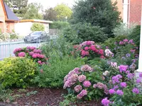 Garten 013.webp