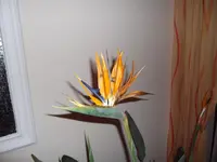DSCF1004.webp