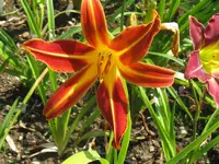 013_1024x768.webp