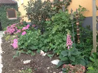 image.webp