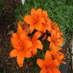Bild 1654.webp