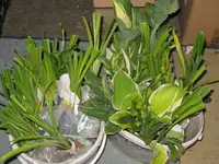 6956_1024x768.webp