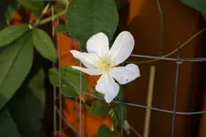 _DSC6865.webp