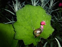 P1170494.webp