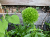 P1160544.webp
