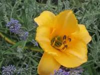 031.webp