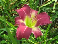 002_1024x768.webp