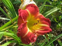 011_1024x768.webp