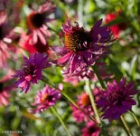 IMG_4066.webp