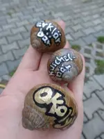 P1170275.webp