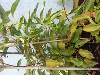 20140801_102730[1].webp