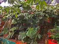 K640_DSCF4333.webp