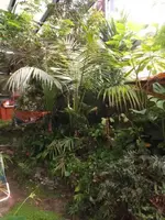 K640_DSCF4336.webp