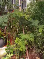K640_DSCF4337.webp