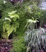 K800_26.05.04.webp