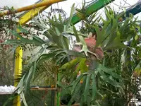 K800_0408 035r.webp