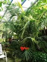 K800_0408 045r.webp
