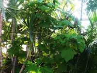 K800_0408 048r.webp