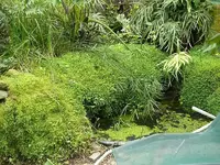K800_0508r.webp