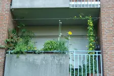 Balkon gesamt.webp