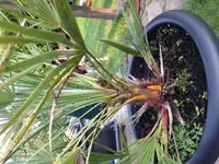 IMG_0041[1].webp