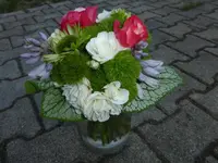 P1170776.webp