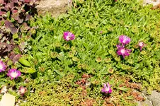 Stg 14-07-31-3096.webp