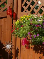 138.webp